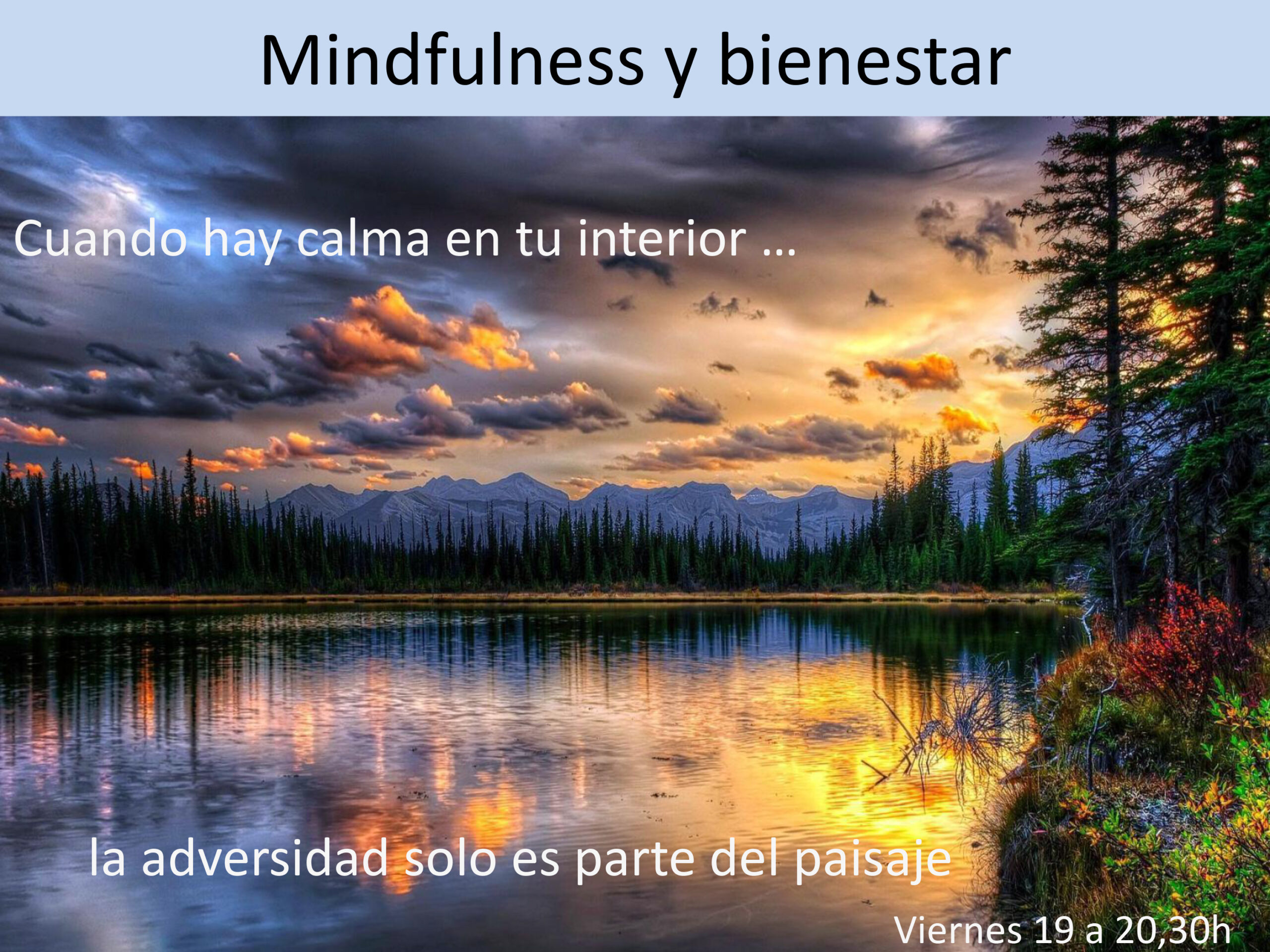 Mindfulness, un camino hacia la meditación